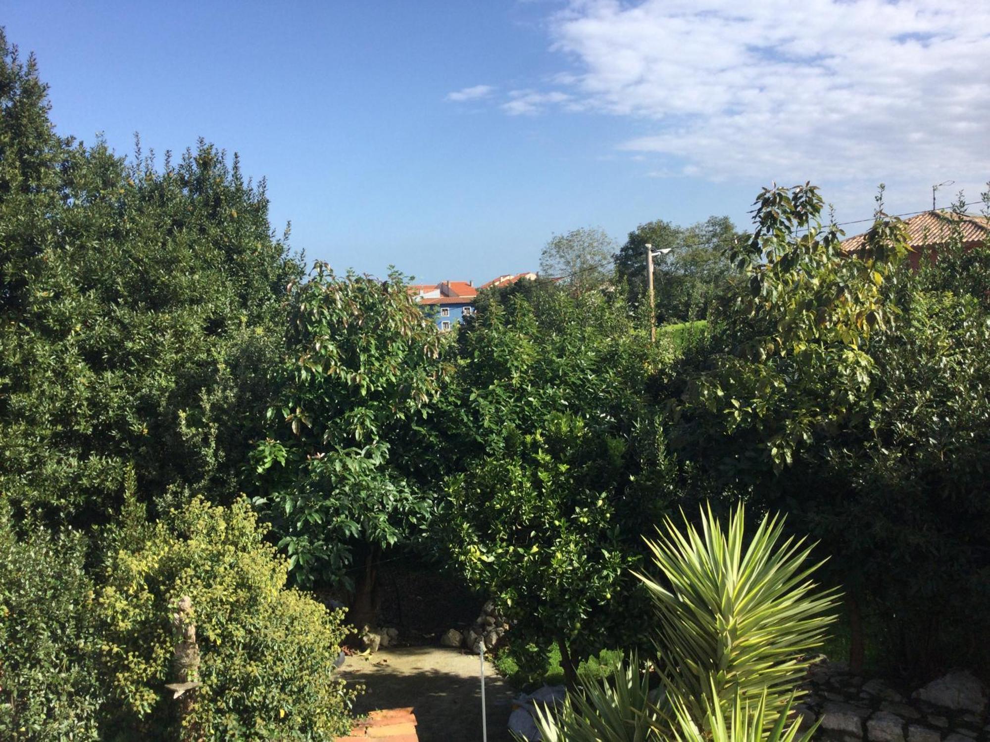 Casa Jardin Rocablanca Llanes Villa Селорио Екстериор снимка
